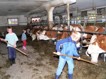 Urlaub auf dem Bauernhof im Landkreis Regen